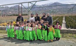 Minik Ellerden Dev Adım: Elazığ’da Ormancılık Haftası Kutlandı!