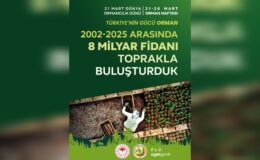 Türkiye Ağaçlandırmada Avrupa’nın Zirvesinde!