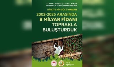 Türkiye Ağaçlandırmada Avrupa’nın Zirvesinde!