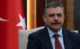 Bakan Çiftçi Açıkladı: “51 İlde Sokak Hayvanları %75 Toplandı!”