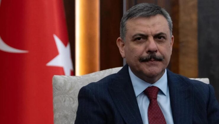 Bakan Çiftçi Açıkladı: “51 İlde Sokak Hayvanları %75 Toplandı!”